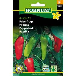 Hornum Paprika 'Kostas F1', frö