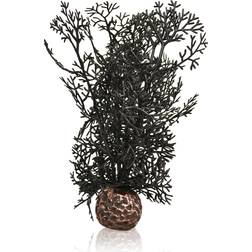 Biorb Sea Fan
