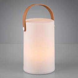 Trio Lighting Aruba genopladelig Bordlampe
