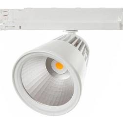Global Winner skinnespot 3F Spotlight