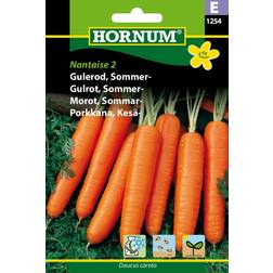 Hornum Gulerod, Sommer-, Nantaise 2 E 1254 Grøntsagsfrø