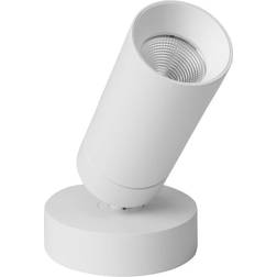 Antidark S16 Spotlight
