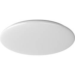 Yeelight LED White Takplafond 49.5cm