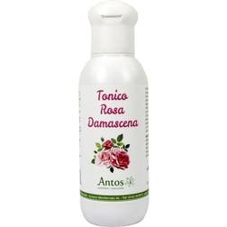 Antos Toner Damascenerrose