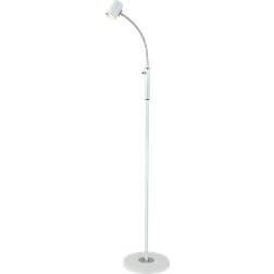Aneta Aneta Belysning Balder Golvlampa