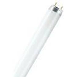 Osram Lumilux T8, 36 W, G13, T8, 20000 h, 3010 lm, Sky white