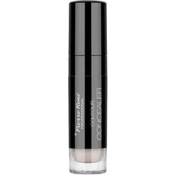 Pierre Rene Contour Concealer No 01