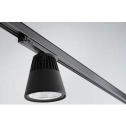 Global Winner skinnespot 3F Spotlight