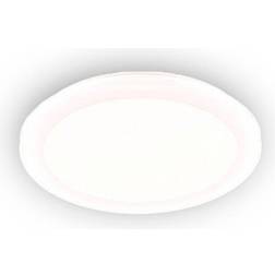 Trio Lighting Camillus Loftplafond