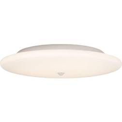 Hide-a-lite Moon slim pir 255 Loftplafond