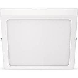 Philips MAGNEOS SF DL252 SQ Loftplafond