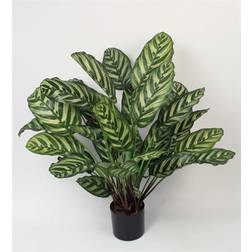 Calathea Kunstig plante