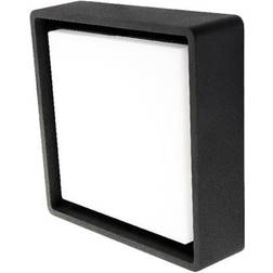 SG Væg-/Loft Frame Square Vægarmatur