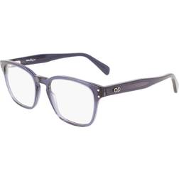 Ferragamo Salvatore SF2925 420