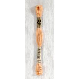 DMC Pale Pumpkin Six Strand Embroidery Cotton 8.7 Yards