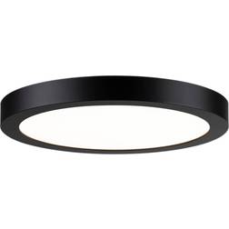 Paulmann Abia Ceiling Flush Light 30cm