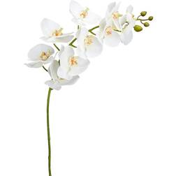 Orkidéstjälk Phalaenopsis. Kunstig plante