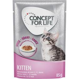 Concept for Life Maine Coon Kitten förbättrad