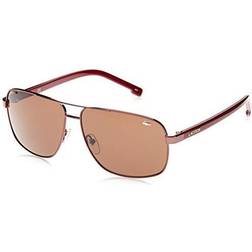 Lacoste Brown Shaded L162S 210 61