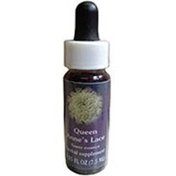 FLOWER ESSENCE SERVICES Dropper Herbal Supplements, Annes Lace, 1