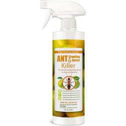 EcoRaider Ant Killer & Crawling Insect Killer Citrus