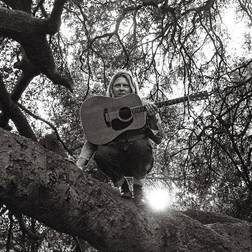 Ty Segall Hello Hi (Vinyl)