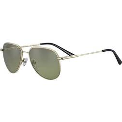 Serengeti HAYWOOD Small SS544003 Shiny Light Gold/Polarized