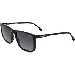 Carrera Polarized Grey Gradient 231/S 0AB8