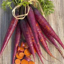 Seeds: Purple Carrot Garden