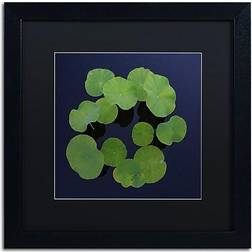 Trademark Fine Art KS0175-B1616BMF Giant Lily Pad Abstract Wall Decor