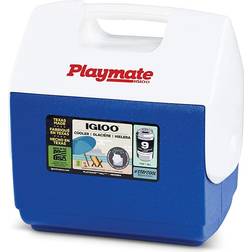 Igloo Kühlbox 6L