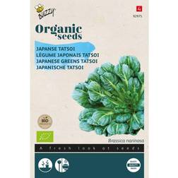 Økologisk, Japansk bladgrøntsagsfrø, Tatsoi Grøntsagsfrø