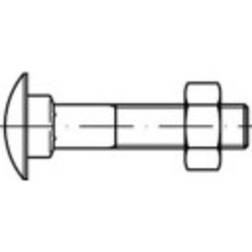 Toolcraft TO-5448246 Skruvar M5 30 fyrkantiga DIN 603 Mässing 100
