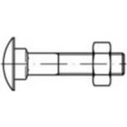 Toolcraft TO-5448258 Runde, flade skruer M5 Firkant DIN 603 Messing 100