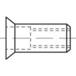 Toolcraft TO-5380491 Blindnittemøtrik M5 Rustfrit stål 500 stk