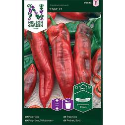 Nelson Garden Paprika 'Thor' F1
