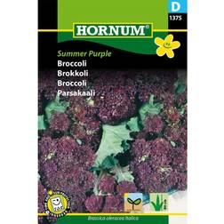 Hornum Broccoli Frø, Summer Purple