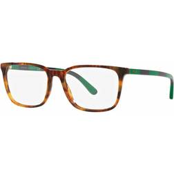 Polo Ralph Lauren PH2234 in Tortoise Tortoise 54-17-145