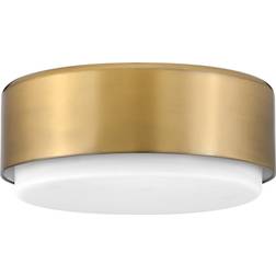 Hinkley 30073 Cedric 2 Mount Fixtures Ceiling Flush Light