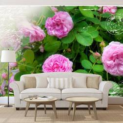 Artgeist Fototapet med flotte lyserøde blomster Flere størrelser 350x245