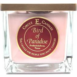 Circle E Candles Bird of Paradise Scented Candle 43oz