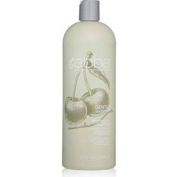 Abba Gentle Shampoo Nourish And Calm Sensitive Skin Scalps Ounce 946 Mill