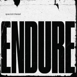 Endure (Vinyl)