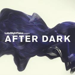 After Dark: Nocturne Various (Vinyl)