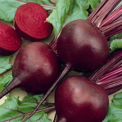 Mountain Valley Seed Company Seeds: Detroit Dark Red Beet
