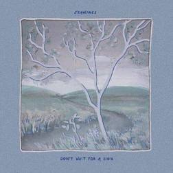 Don't Wait for a Sign (Vinyl)