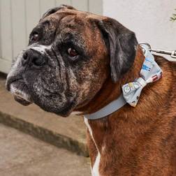 Pet Brands Cath Kidston hundfluga krage, hundhalsband läder bomullsfluga