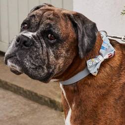 Pet Brands Kidston Collar Leather Collar with Jubilee Tie