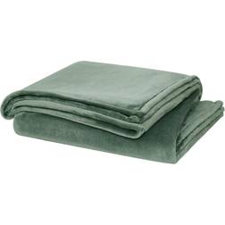 Cannon Solid Plush Blankets Green