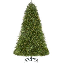 National Tree Company ft Dunhill Fir Incandescent Christmas Tree